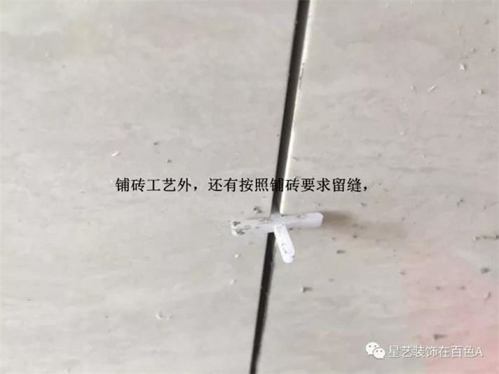 杏盛百色公司